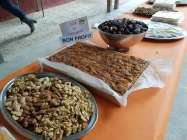 Festa de la Tardor en el colegio Graüll