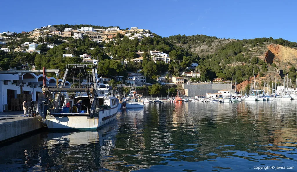 Ruta por el puerto pesquero y taller de salazones