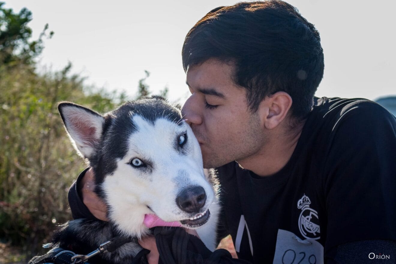 San Silvestre de perros 2018