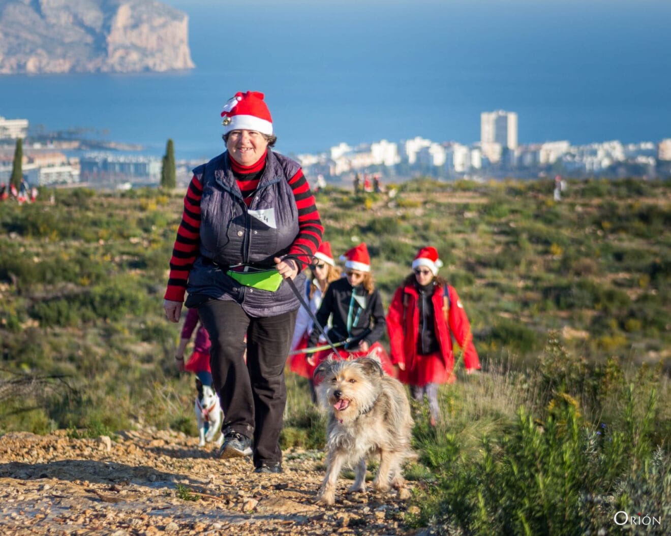 San Silvestre Jávea de perros