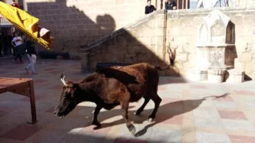Jornada taurina de las fiestas de Sant Sebastià Xàbia