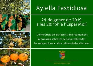 Campaña contra la Xylella Fastidiosa