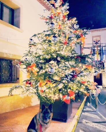 Concurso navidad