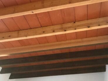 Tratamiento bigas Pinturas Juanvi Ortolà