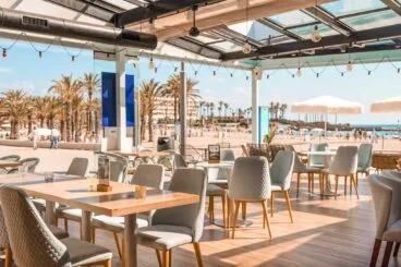 Vive la experiencia Ammos – Restaurante Ammos