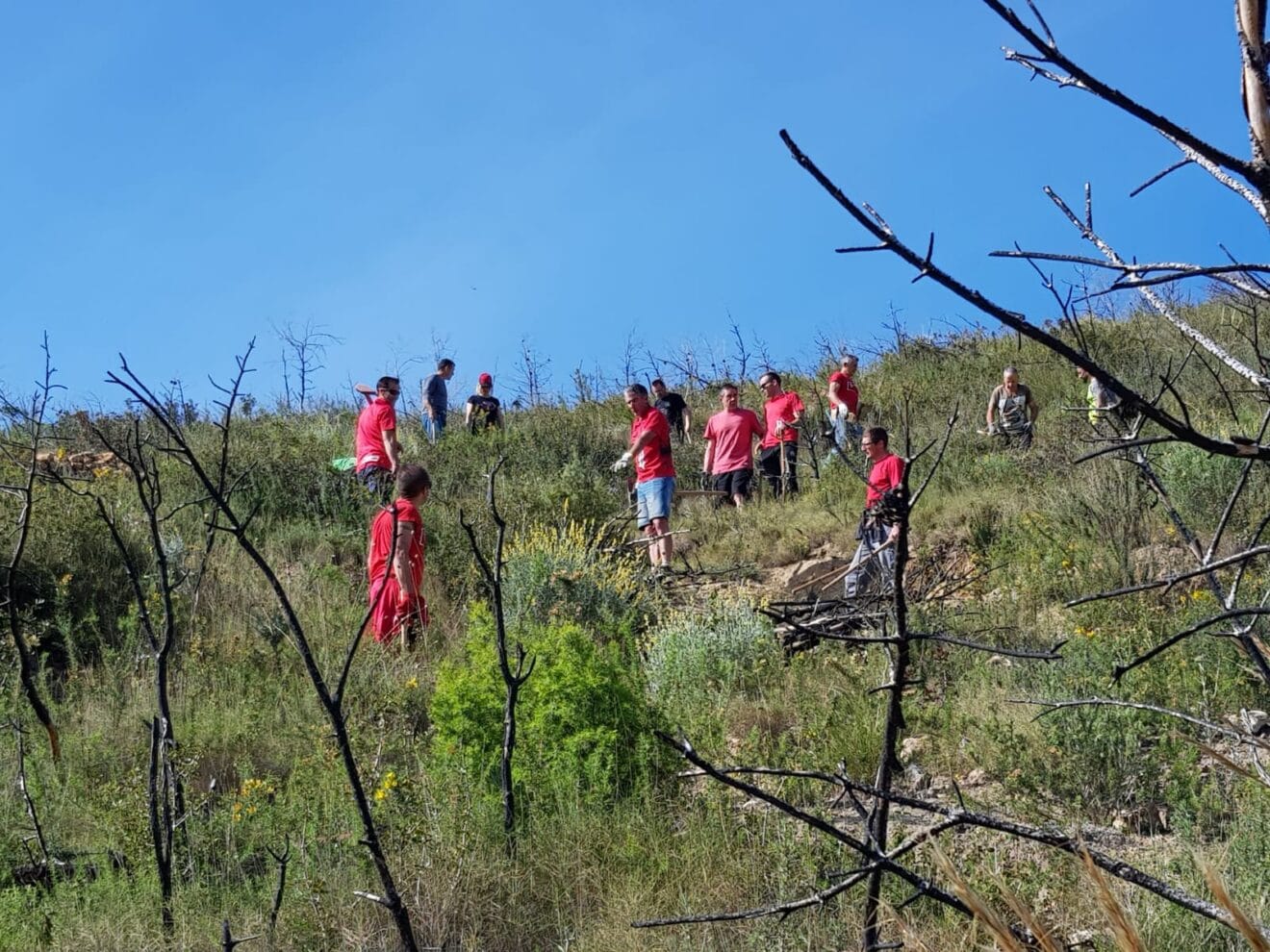 Actuación en las sendas de Xàbia (1)