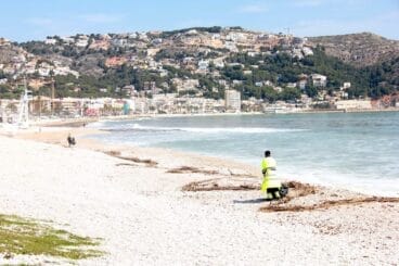 Limpieza en la Playa del Primer Montañar