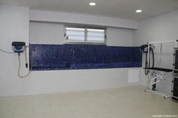 Peluquería canina Santi Mas – Servicios para mascotas
