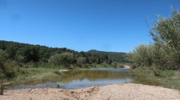 Cauce del Rio Gorgos