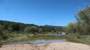 Cauce del Rio Gorgos