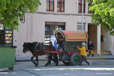 Día del Niño en las fiestas del Nazareno 2019