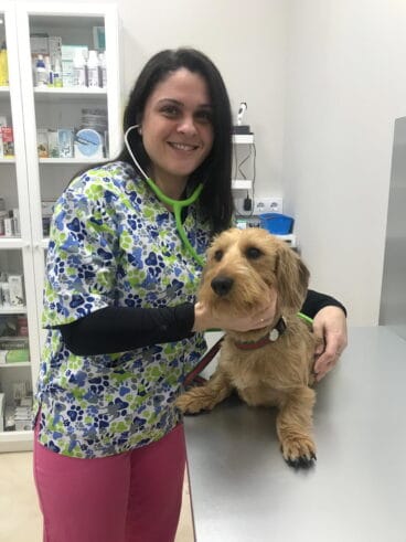Veterinaria-Javea-Centro-Veterinario-Animalets