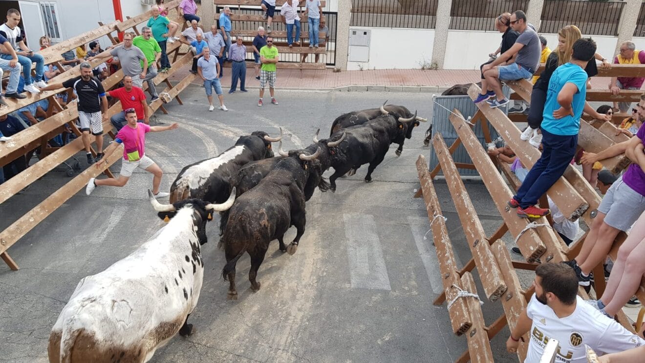 Bous Fogueres Xàbia 2019