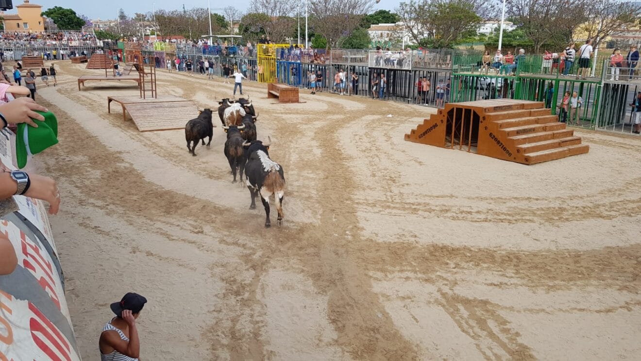 Bous Fogueres Xàbia 2019