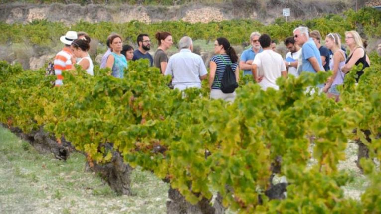 Routes tussen de wijngaarden van Benitatxell
