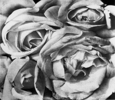 Foto de Tina Modotti