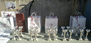 Trofeos Padel