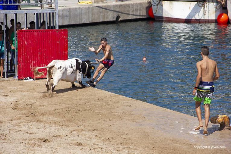 Un joven intenta llevar la vaquilla al agua