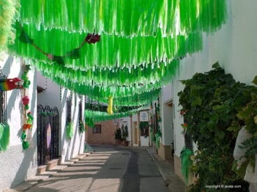 Calle Bartolomé Ros engalanada