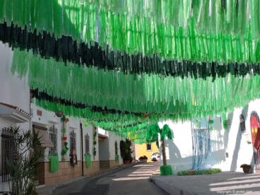 Calle Bartolomé Ros engalanada como una selva