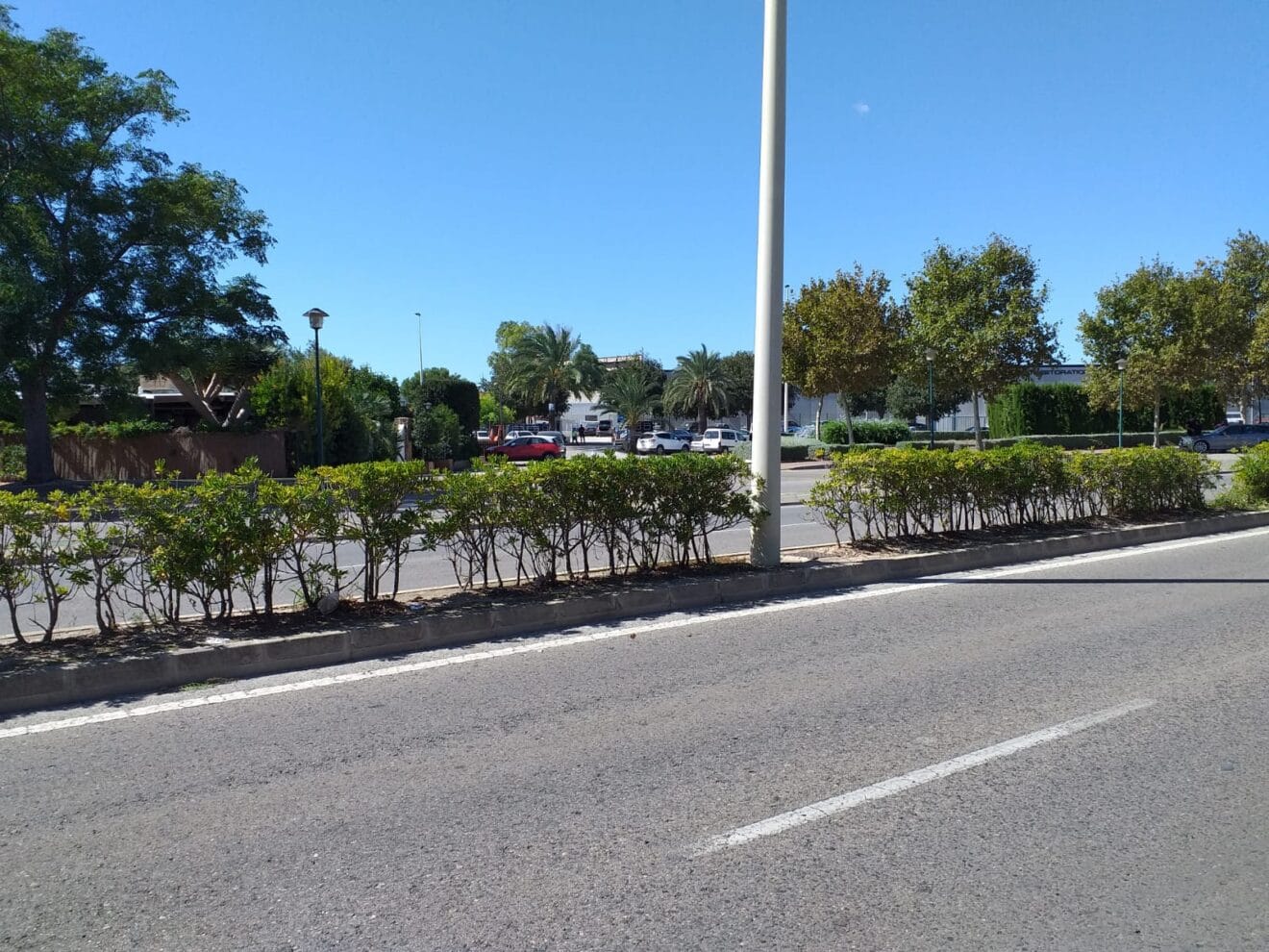 Concesionario de lujo