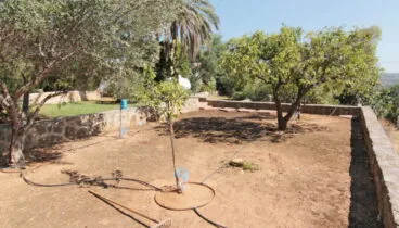 Jardín de varias alturas con árboles frutales – MORAGUESPONS Mediterranean Houses