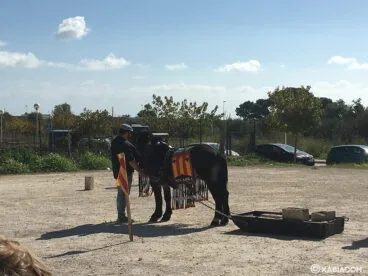 Demostración de Tir i Arrosegament