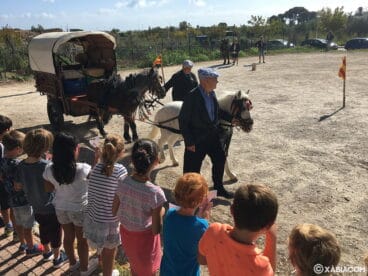 Demostración de Tir i Arrosegament en el CEIP Trenc d’Alba