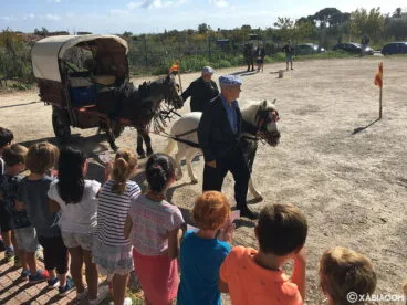 Demostración de Tir i Arrosegament en el CEIP Trenc d’Alba