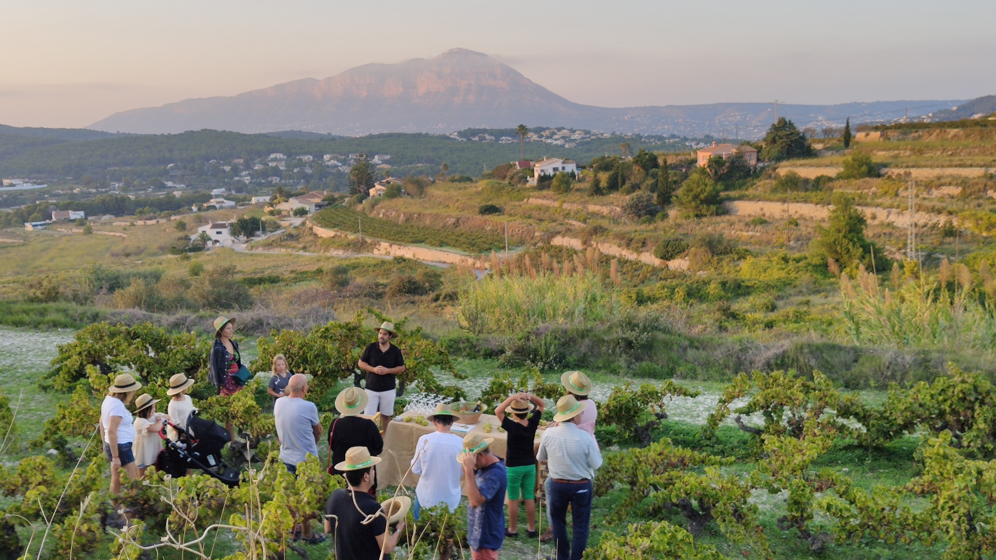 Imagen: I Festa del Moscatell en El Poble Nou de Benitatxell (1)