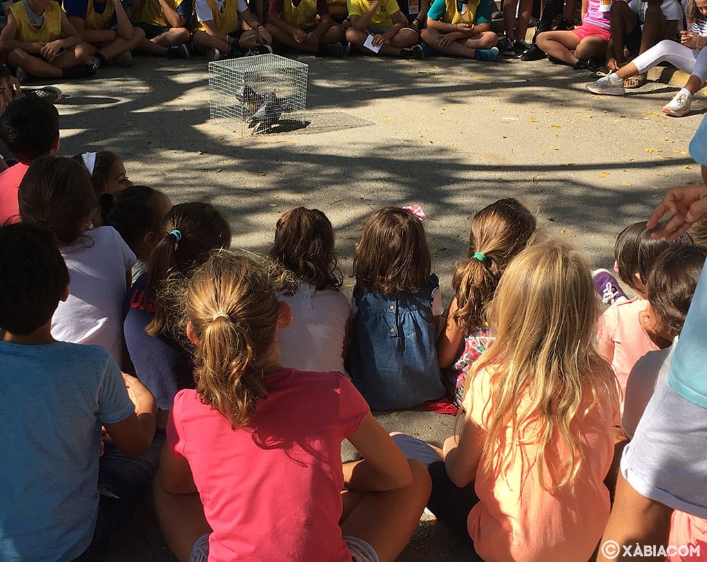 Imagen: Los estudiantes conocer la colombicultura