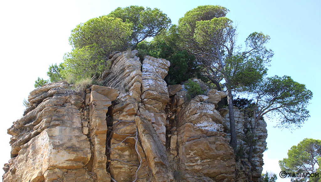 Rocas altas con pinos en el Cap Negre