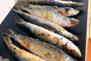 Sardinas frescas – A La Deriva Cervecería