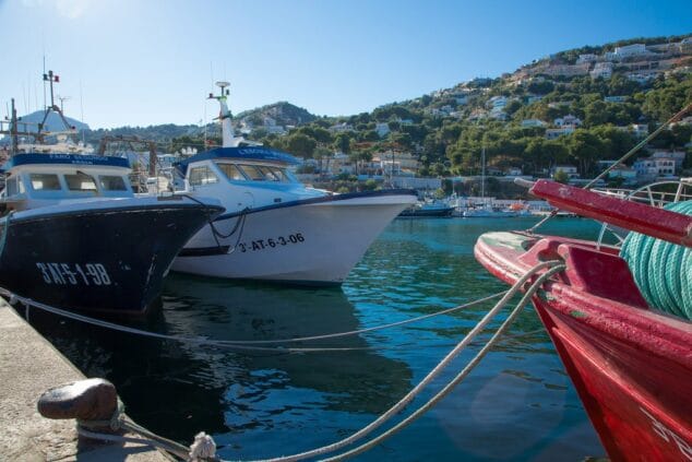 Imagen: Barcos de Pesca en el Puerto de Xàbia