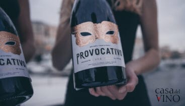 Mega Cesta de Navidad 2019 – Casa del Vino – Cava Provocativo (valorado en 39 euros)
