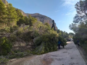 Cortafuegos en la zona de Toscamar-Montgó