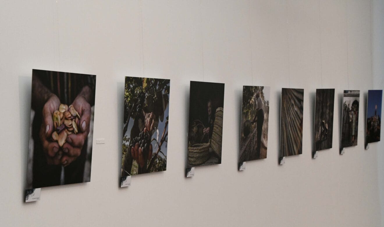 Exposición sobre Les Pesqueres en el Museo Soler Blasco