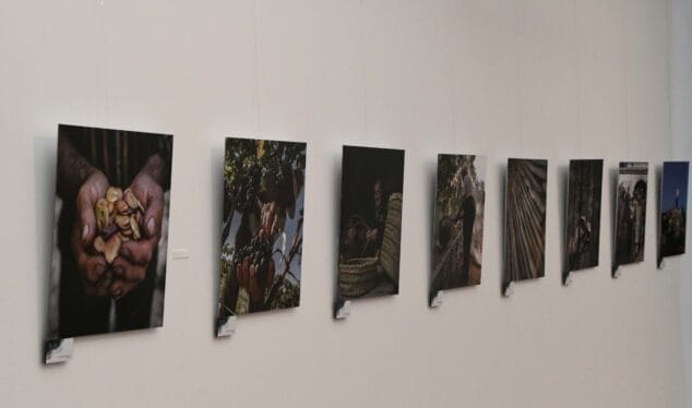 Imagen: Exposición sobre Les Pesqueres en el Museo Soler Blasco