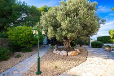 Jardín con árboles y gravilla en un chalet de vacaciones en Jávea – Aguila Rent a Villa