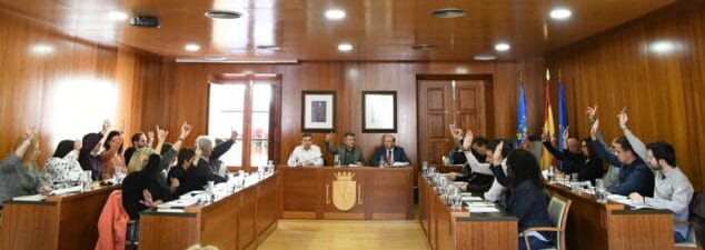 Imagen: Pleno de diciembre de 2019