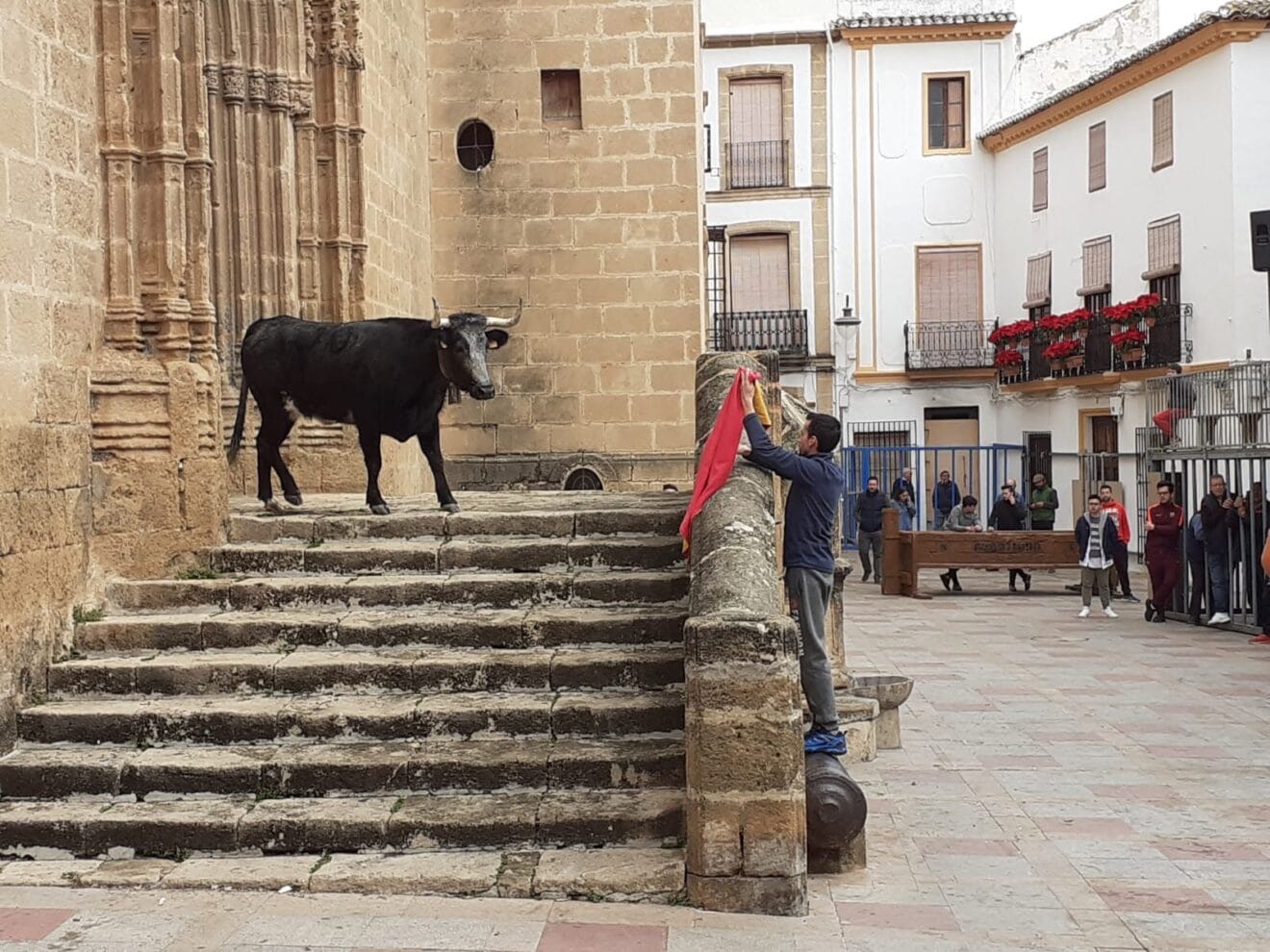Actuación taurina en la Plaza de la Iglesia en las fiestas de Sant Sebastià