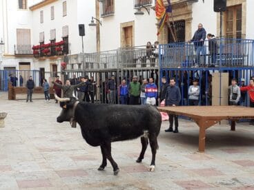 Actuación taurina en la Plaza de la Iglesia