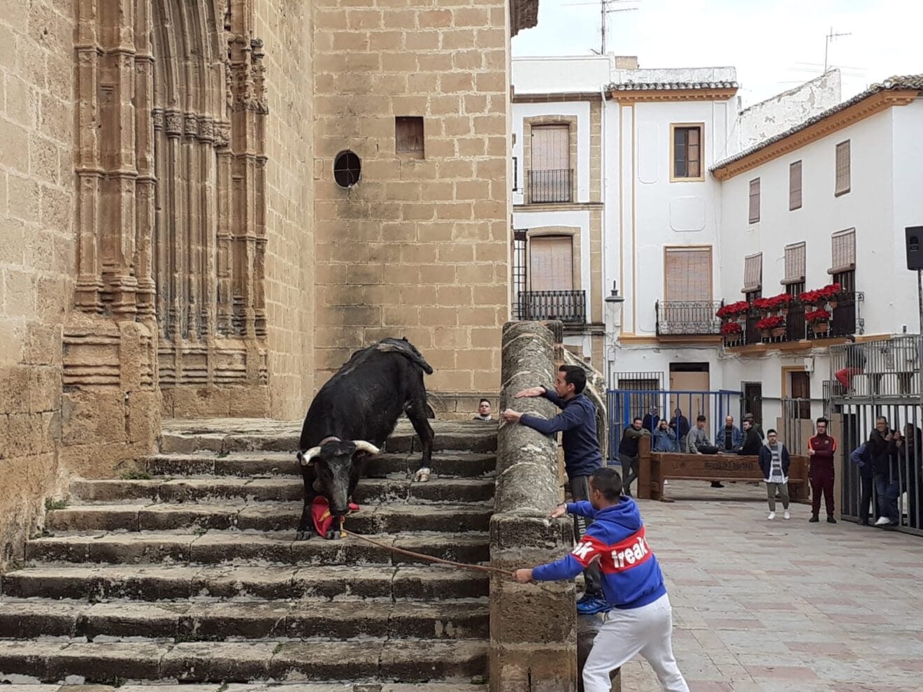 Actuación taurina en la Plaza de la Iglesia en las fiestas de Sant Sebastià