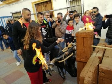 Carretón embolado en la jornada infantil de las fiestas de Sant Sebastià