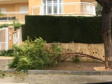 Consecuencias del viento