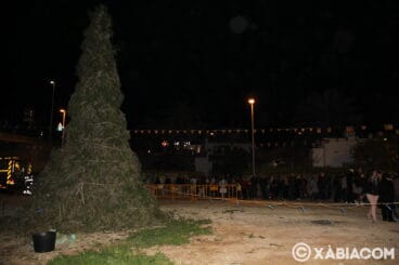 Cremà del Pi de Sant Antoni Xàbia