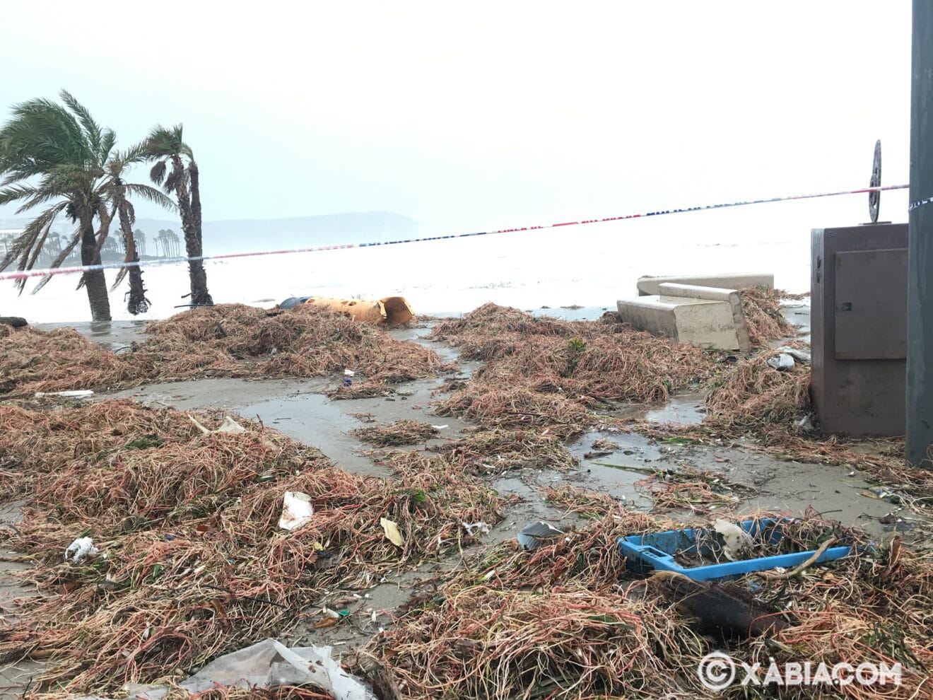 Destrozos en el Paseo del Arenal