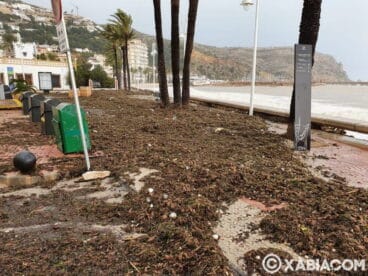 Estado del Paseo Marítimo del Puerto de Xàbia