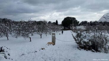 Gran acumulación de nieve en Xàbia en 2017