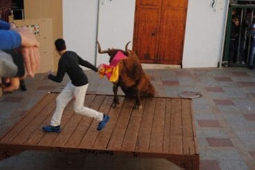 La vaca sube al tablado en las fiestas de Sant Sebastià 2020